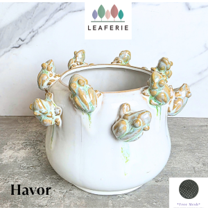 The Leaferie Havor Frog plant pots. flowerpot . flowerpots . flower pot . planter . planters . Ceramic