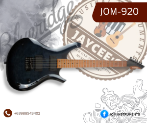 BLUERIDGE ELECTRIC GUITAR JOM 920