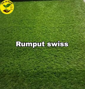 RUMPUT SINTETIS 20X20X2 CM TYPE SWISS DEKORASI AQUASCAPE