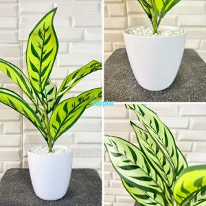 Tanaman Hias Pohon Artificial Callathea X9 Semilatex Pot Melamine & Pot Dasar Hitam Dekorasi Meja Pajangan Hambalan Rumah