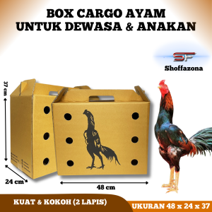 Kardus Ayam Box Pengiriman Ayam Dewasa Maupun Anakan