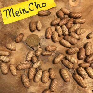 (500gr) 75-750 Biji Rotan Buah Rotan Lonjong Bulat Drini Salak Mini Kolase Mahar Dekorasi Rustik