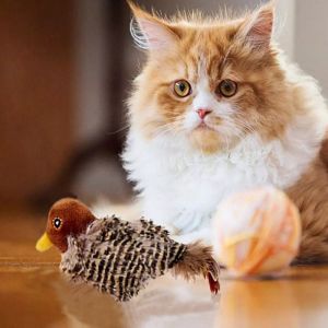 ER52858 สำหรับแมว ตุ๊กตา รูปกระจอก เมาส์ นก เครื่องประดับสำหรับแมว นกจำลอง ของเล่นแมว เสียงของเล่น ตุ๊กตา