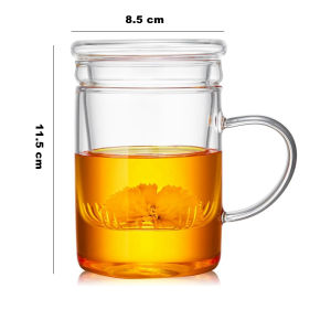 450ml Heat Resistant Borosilicate Glass Tea Cup with Lid & Infuser Basket Teapot Mug for Office Home Loose Leaf Tea Coffee