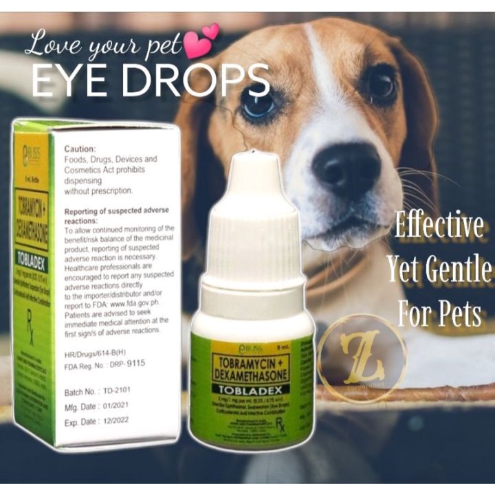 Tobramycin eye best sale drops for cats