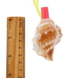 Accessories Crafts Decoration Horn Children  Creative Natural Souvenirs Gift Survival Tool Conch  Whistle H260729
