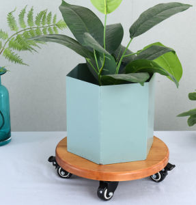 Kệ giá đỡ chậu hoa cây cảnh đa năng đường Kính 30cm chịu lực 80kg - Đế để chậu cây có 4 bánh xe khóa cao cấp