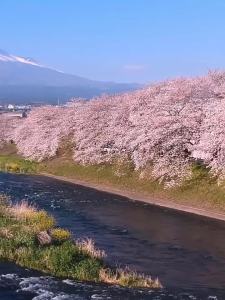 蠓虫杀虫剂驱蚊水驱除蒙虫灭户外墨蚊小咬克星防叮咬蜢虫蠓虫喷雾
