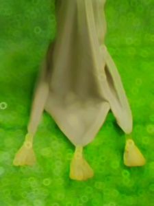 Segiempat Bella Square Tassel Jilbab Hijab Segiempat Tassel