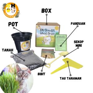 Mainan Edukasi Montessori DIY Berkebun Sayur Souvenir Grow Kit Rumput Kucing Wheat Grass Hampers Ulang Tahun