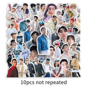 51PCS Singer Shan Song peripheral graffiti stickers car helmet notebook personalized DIY decorative waterproof stickers