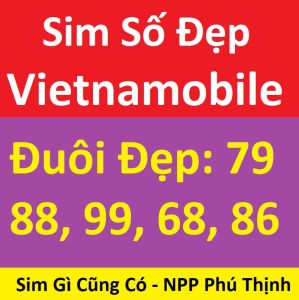 Sim đẹp Vietnamobile Số tự chọn Số lộc phát thần tài Sim chưa kích hoạt. Bảng