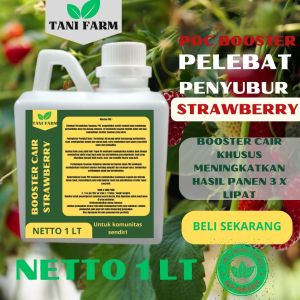 Pupuk Semprot Pelebat Buah strawberry Pupuk Pelebat strawberry Pupuk Penyubur Buah strawberry ZPT