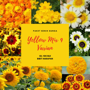 Benih Bibit Biji Bunga Yellow Mix 9 Varian Bibit Unggul
