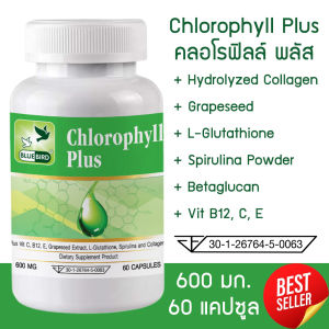 คลอโรฟิลล์ Chlorophyll Plus ตราบลูเบิร์ด ขนาด 600 มิลลิกรัม 60 แคปซูล