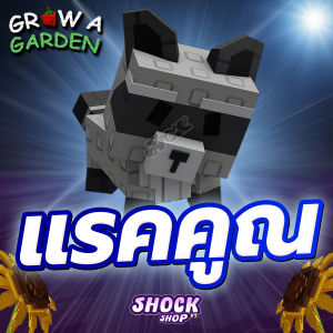 การ์ดเกม ไก่สัตว์เลี้ยง แรคคูณ แมพ Grow a Garden การ์ดสวยภาพคมชัด