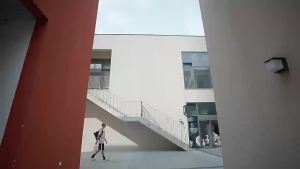 Tripod Stand for Smartphone360 rotation Selfie Stick Folded79inch Monopod Portables for Camera/Ring Light/iPhone/Android