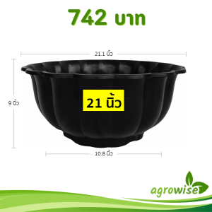 กระถาง อ่างบัวจีบ อ่างบัว ขนาด 19 20 นิ้ว สีดำ 5 ใบ ชิ้น อัน