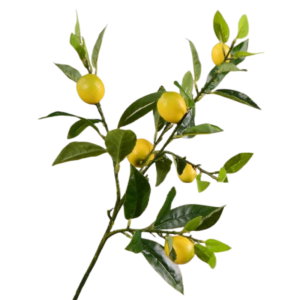 CINDYKHBKJ Luxury Artificial Lemon Branch Handmade Elegant Simulation Fruit Tree Flower Arrangement Plastic Artificial Lemon Fruit Restaurant Hotel