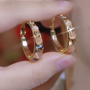 Pink Rhinestone Circle Earrings High-End Light Luxury Retro Temperament Earrings High-End Earrings