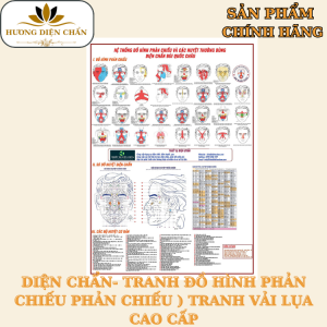 Tranh 32 Hình Phản Chiếu Các Huyệt Thường Dùng