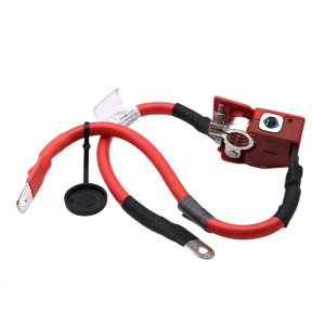 Positive Fuses Cable Replacement Overload Protector Wire for F30 F31 F34 F32 Blow Cable 9214506-02