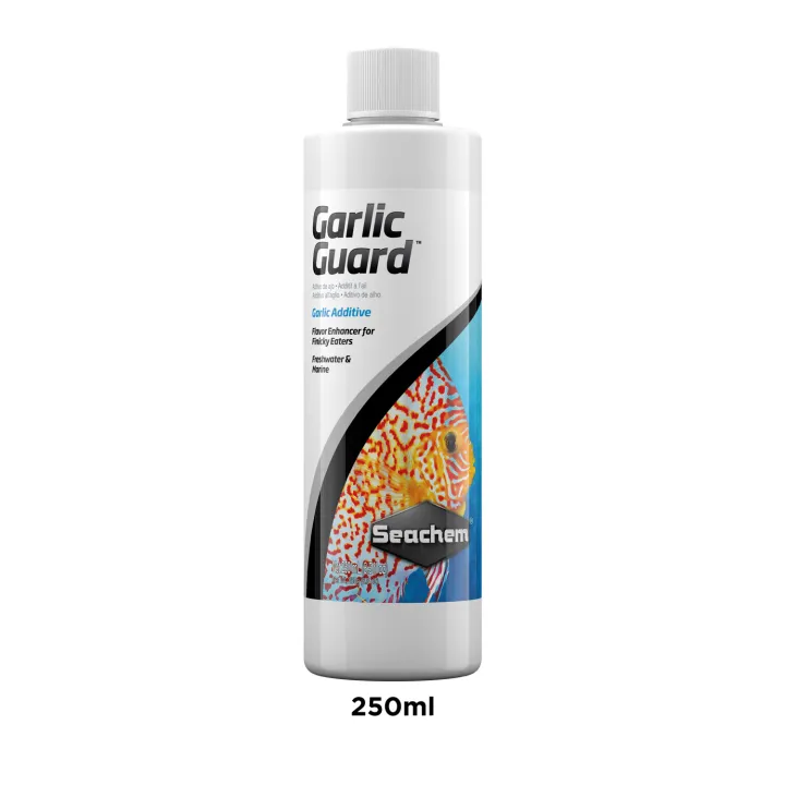 Seachem%20Garlic%20Guard%20%E0%B9%80%E0%B8%AA%E0%B8%A3%E0%B8%B4%E0%B8%A1%E0%B8%A0%E0%B8%B9%E0%B8%A1%E0%B8%B4%E0%B8%95%E0%B9%89%E0%B8%B2%E0%B8%99%E0%B8%97%E0%B8%B2%E0%B8%99%E0%B9%82%E0%B8%A3%E0%B8%84%20%E0%B8%AA%E0%B8%B3%E0%B8%AB%E0%B8%A3%E0%B8%B1%E0%B8%9A%E0%B8%9B%E0%B8%A5%E0%B8%B2%E0%B8%99%E0%B9%89%E0%B8%B3%E0%B8%88%E0%B8%B7%E0%B8%94%E0%B9%81%E0%B8%A5%E0%B8%B0%E0%B8%9B%E0%B8%A5%E0%B8%B2%E0%B8%99%E0%B9%89%E0%B8%B3%E0%B9%80%E0%B8%84%E0%B9%87%E0%B8%A1%20-%20Image%204