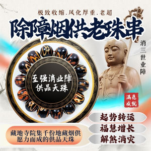 【起玺Qi Xi】消业障供品天珠手串 Dispelling Negative Karma Puja Offering Bracelet