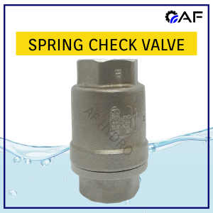 Stainless Steel SS316 Spring Check Valve 1/4” to 2” Heavy Duty One Way Non Return Backflow Prevention Valve