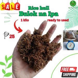 Composted Rice Hull o Bulok na ipa for plant I ready to used I better used in plants 1 kilo