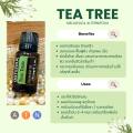 Doterra Essential Oils Tea Tree น้ำมันหอมระเหย โดเทอร์ร่า ที ทรี ขนาด 15 ml น้ำมันอโรม่า doTERRA. 