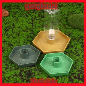 Gangke Reptiles Water Feeder Bowl Food Feeder Water Bottle For Reptiles Pet Antislip Automatic Water Dispenser For Lizards