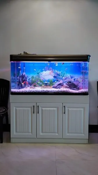 5ft aquarium fish outlet tank