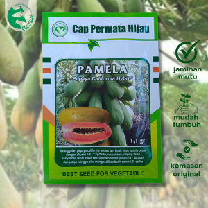 Benih Pepaya California Hibrida PAMELA 1.1 gram Unggul PERMATA HIJAU