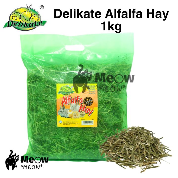Photo inspiration: Gallery Detail: Delikate Alfalfa Hay 1Kg Premium Alfalfa For Small Pets Rabbits