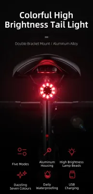 ROCKBROS Bicycle Rear Light /Tail Light /USB Charging Safety Light / Colorful Cycling Light