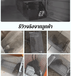 【1 คืนจับ 1 รัง】กับดักหนูแบบกรง กรงดักหนูแบบมีโครง สปริงคู่ กรงดักหนูนา  กรงดักหนูเล็ก  กรงดักแบบพกพา อุปกรณ์กำจัดหนู