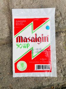 Fungisida MASALGIN 50 WP Dewi Kayangan MANTAB