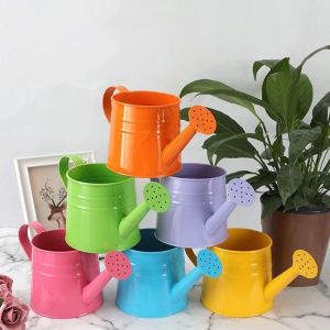 【COD+IN STOCK】 Metal Watering Can Large Capacity Home Water Spraying Pot Vintage Garden Plants Decorations for Children