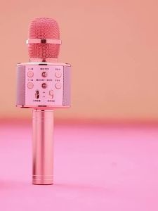 SG WS858 Bluetooth Wireless Condenser Karaoke Microphone Player Mic Speaker