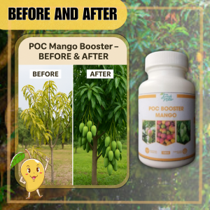 POC Booster Coconut | Fertilizer for Coconut Seedlings & Mature Trees