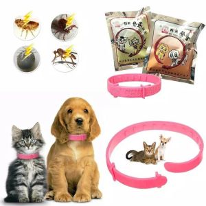 Kalung Anti Kutu Hewan & Perlengkapan Hewan Peliharaan