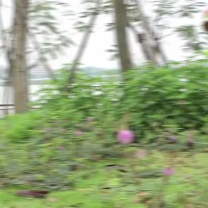 Large Size Simulation Soft Rubber Tyrannosaurus Model Animal Toy Super Large Plastic Soft Children Baby 3 Years 6 Boys