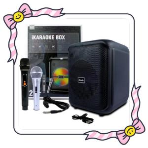 Brudo BTS-1740 IKARAOKE BOX Professional System Bluetooh Speaker With rechargeable wireless Mic