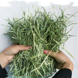 North Timothy machine dries chopped grass 0.5kg เครื่องทิโมธีแห้งหญ้าสับ