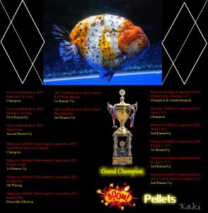 Boom Pellets 350g