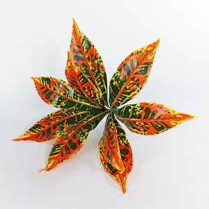 Tanaman Hias Plastik Model Daun Aglonema Artificial Ornamen Dekorasi Ruangan Rumah Murah COD PBP186