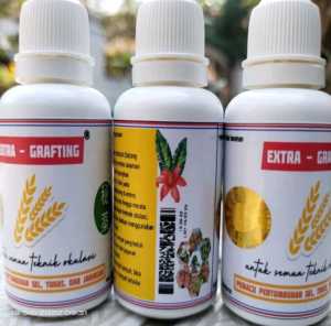 OBAT OKULASI SAMBUNG PUCUK EXTRA GRAFTING OBAT GRAFTING GRAFTING SERUM