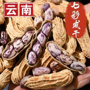 七彩花生带壳熟新鲜咸干零食坚果 Colorful Peanuts Shelled Cooked Fresh Salty Dried Snacks Nuts