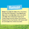 Nestle Everyday Milk Powder Plain 1.5kg FOC 200g. 